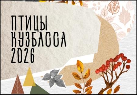 ���� ����