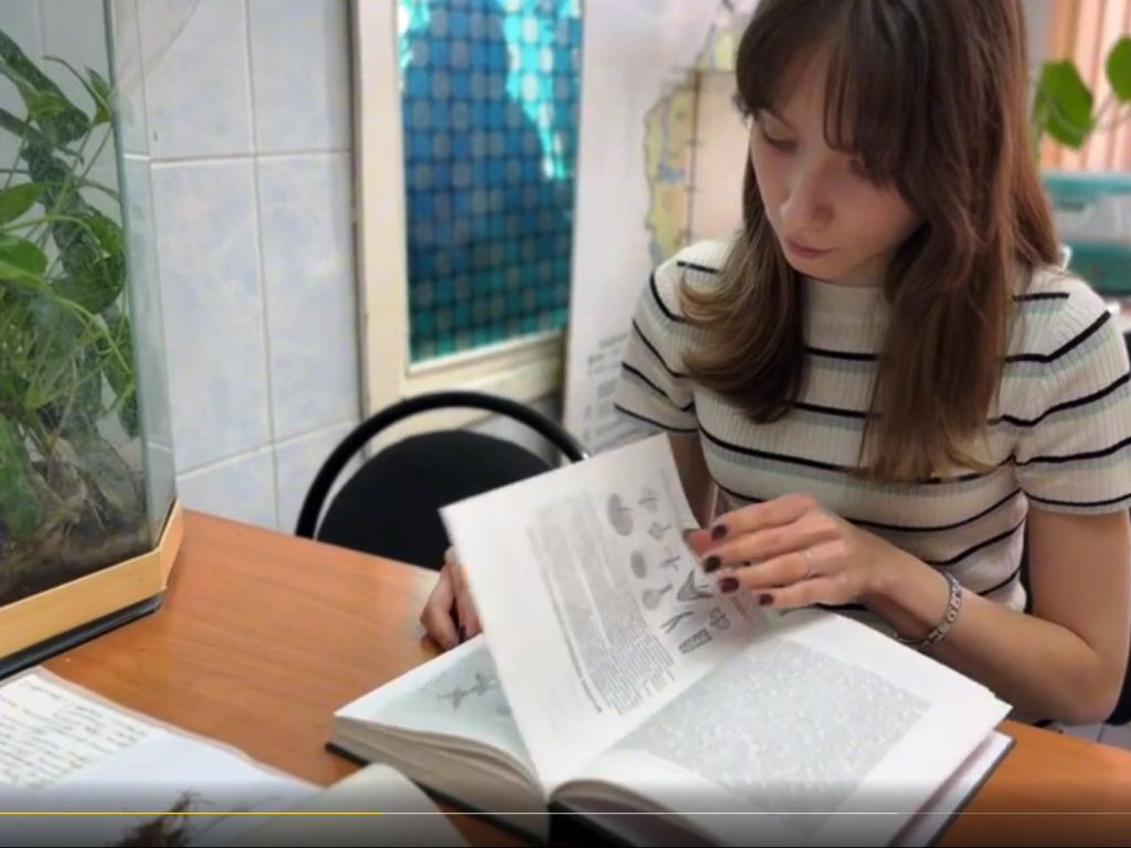 ����������� ��������