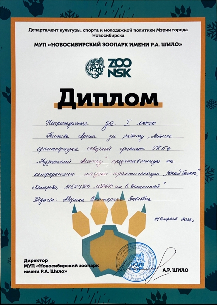 ���� ������ �������