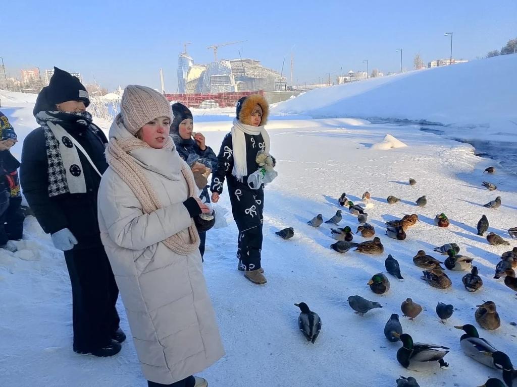 Акция Серая Шейка