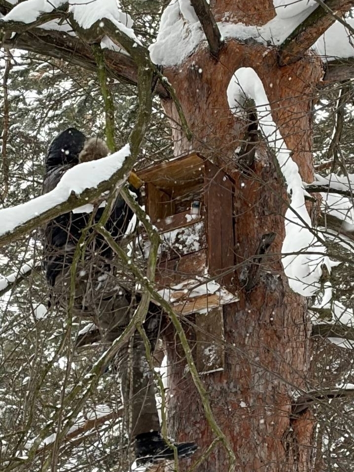 ���������� ��������� �� �����